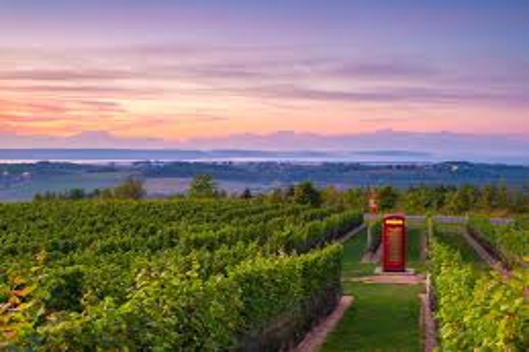 Nova Scotia Wines Win International Awards