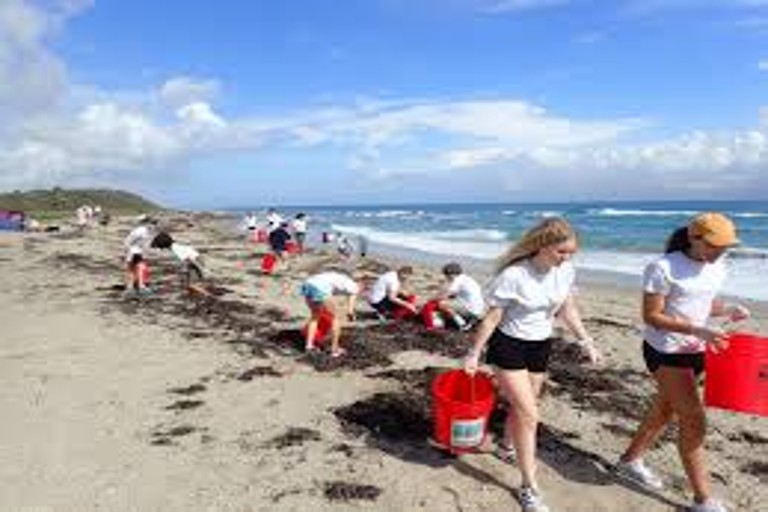 Coastal Cleanup Yields Surprising Finds Along Nova Scotia’s Eastern Shore
